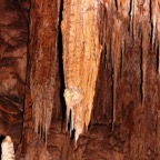 0708_Australien_0081_WA_Mammoth_Cave.jpg