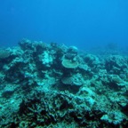 0708_Australien_0309_Cairns_Outer_Reef.jpg