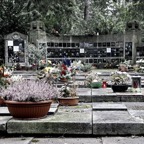 111203_Frankfurt_0048_Hauptfriedhof.jpg
