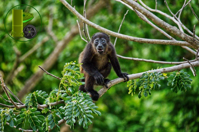 costa-rica